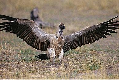 SIE老大：砸钱不能获得成功 PS5的开始比PS4强